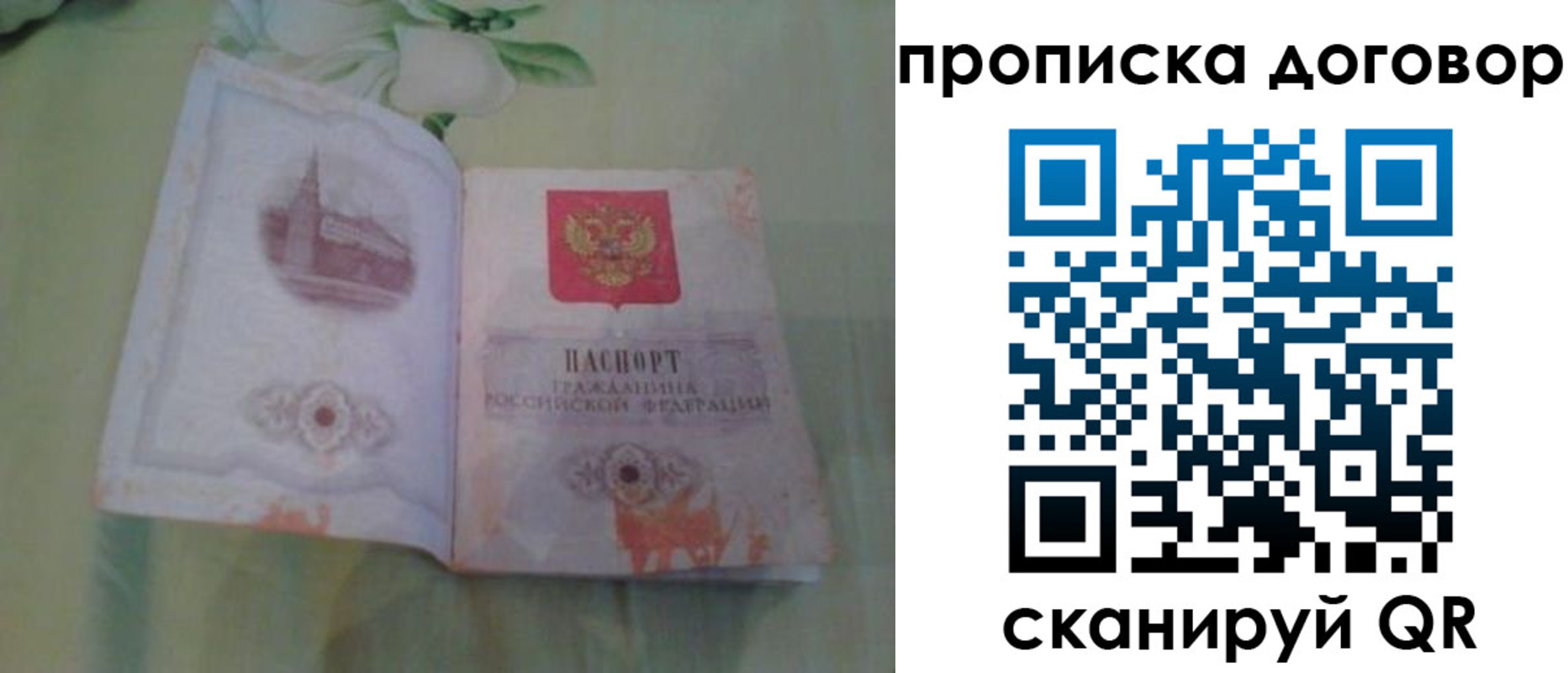 временная регистрация гарантия в Темрюке
